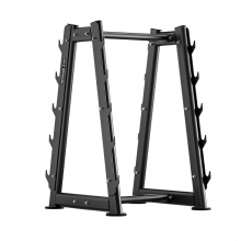 Стойка для штанг BRONZE GYM RAVE RE66