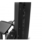 Вертикальная/горизонтальная тяга профессиональный BRONZE GYM MIGHT 55