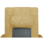 Массажное кресло реклайнер с подъемом FUJIMO LOUNGE UP F7003 ZLFL на заказ
